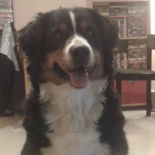 chirkas1970's profile picture. 