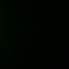 _dgbot's profile picture. 