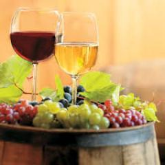 Master of Wine Tasting, Wine Making and Wine Types ! Wine Lover Expert