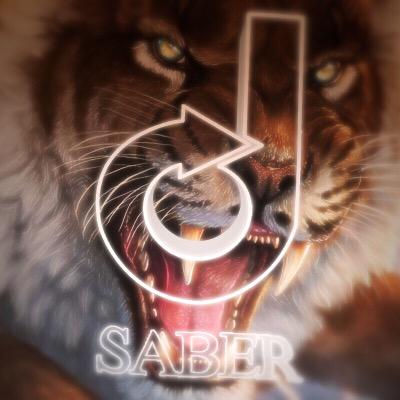 Data Saber Profile