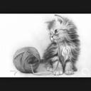 Emma Biggs - @Emmailovedogs - Twitter