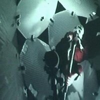 tim vets (@timvets) 's Twitter Profile