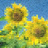 mactax's profile image