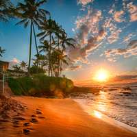 Luxury and Paradise (@isaidluxury) 's Twitter Profile