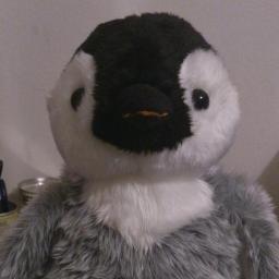 CoronelPinguino's profile picture. 