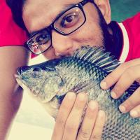M Dawood (@mrazvi33) 's Twitter Profile