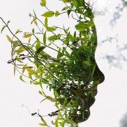 anandmourya80's profile picture. dancer singer