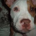 mavis sanchez - @12veronica - Twitter