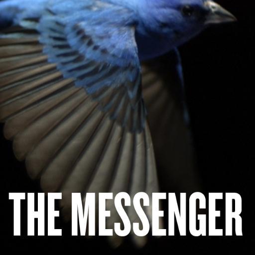 Documentary. Imagine a world without birdsong. http://t.co/Ikr0aH1BmW #songbirdsos #birdsmatter @THEMESSENGERdoc