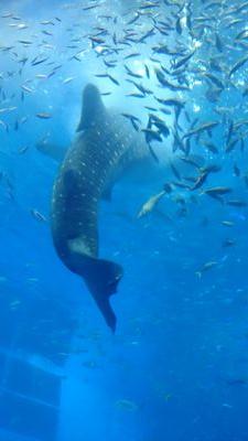 ju3158mh's profile picture. 