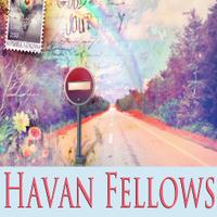 Havan Fellows(@HavanFellows) 's Twitter Profile Photo