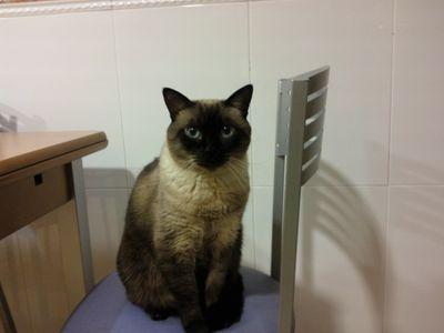 anabelhector's profile picture. 