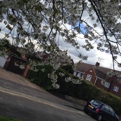 tomphil1981's profile picture. 