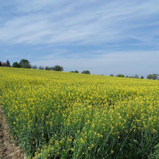 #Agriculture #Occitanie #Tarn #Agronomie #Grandescultures