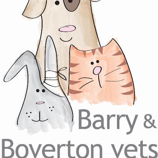BarryVets's profile picture. 'Caring vets for healthy pets'