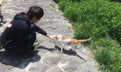 世界は広く美しい ゆらゆらと旅に出よう  
      京都 愛知