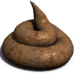 biggerturd's profile picture. 