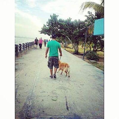 vchasal7's profile picture. 20. comunicador en construcción