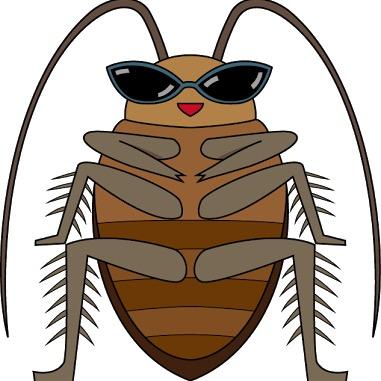 TKやられます、泣きたいです。
