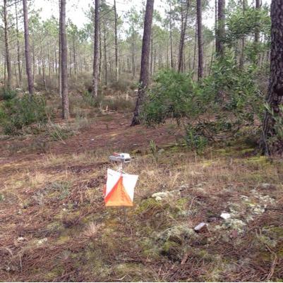 West Anglian Orienteering Club - covering Cambridgeshire, East Bedfordshire and North Hertfordshire