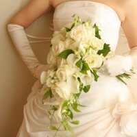 choco (@choco_log) Twitter profile photo