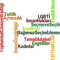 Bağımsız Seçim İzleme Platformu (BSİP)(@secimizleme) 's Twitter Profile Photo