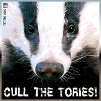 Freeda Brocks (@fredabrox) 's Twitter Profile Photo