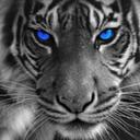 Ben Browne - @bxnji1 - Twitter