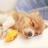 koji_ta's profile image