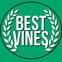 Best Vines (@thabestvines) 's Twitter Profile Photo Best Vines (@thabestvines) 's Twitter Profile Photo