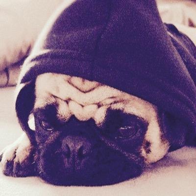 tylervardy's profile picture. go to your room turn on your xbox and play fifa 15