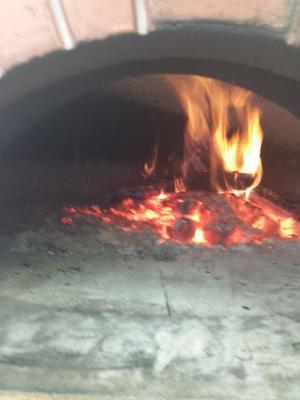 Fired Up-Mobile Wood Fired Pizza, Pasta and more