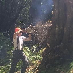 Highly professional and experienced tree service equipped to do all of your tree related tasks, servicing the following counties as well as surrounding areas: T