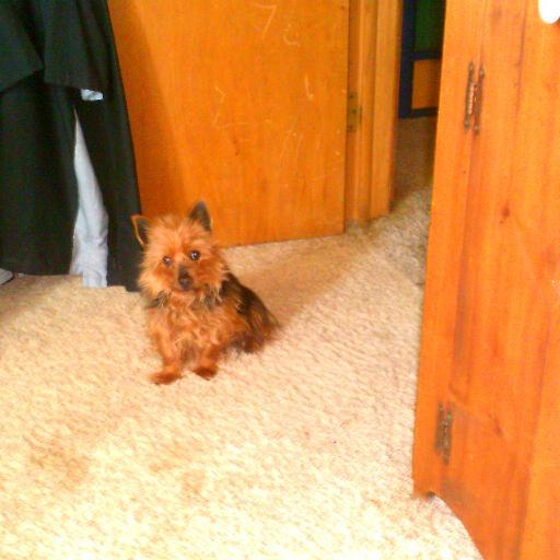 phyllisfarrel12's profile picture. Happy in my new Independent Senior Living home in Palatine IL. I have a very special boyfriend Tony he means the world to me....