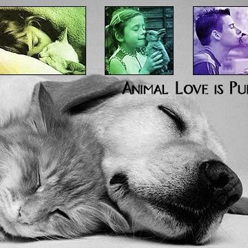 UNCCAnimalShop's profile picture. Animal Shop