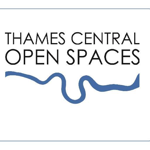 Thames Central Open Spaces preserving London's urban open space. Together, we stopped the Garden Bridge