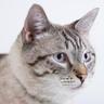 louisapeters's profile picture. We’ll turn rundown properties into lovable & desirable homes in very little time. No job too small.