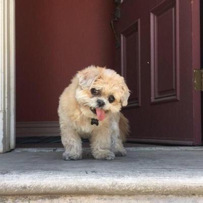 nickxferris's profile picture. thru da 6