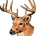 kucingkubelang (@johnthompel) Twitter profile photo kucingkubelang (@johnthompel) Twitter profile photo