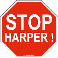 LeadNowFred's profile picture. The 'unofficial' account for Fredericton leadnow.ca supporters