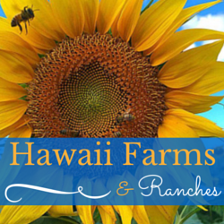 HawaiiFarms's profile picture. Sharing Aloha for #Food & #Farms in #Hawaii. #HiFarms #Aloha4Ag #Farms #hawaiifood