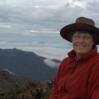 Menna Jones (@mennajones2) 's Twitter Profile