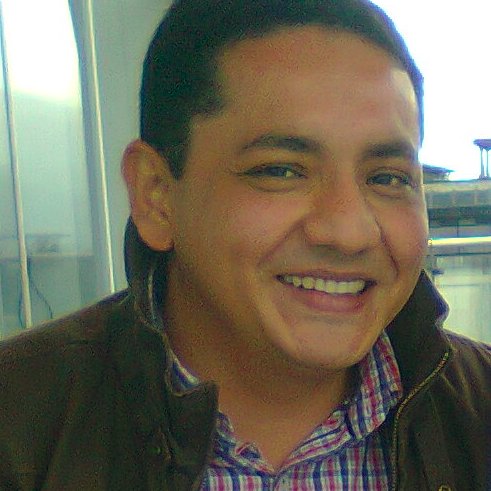 Profesor de la Maestría en Educación de la Universidad Externado de Colombia