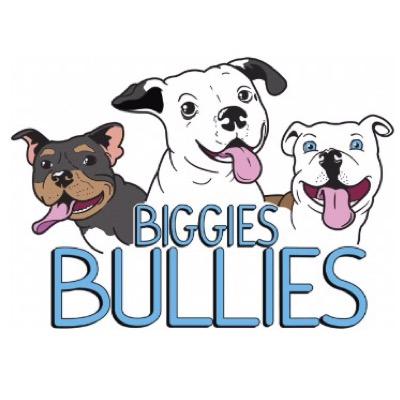 Biggies Bullies is a 501(c)3 Non Profit Pit Bull Rescue based out of Pittsburgh PA.