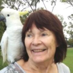Retired but have 2 websites to make money from home.Check out http://t.co/ryOKO0hNCj which is an easy way to make some extra $. If you love dogs, see below