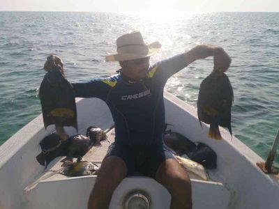 MOHD_VFX's profile picture. 