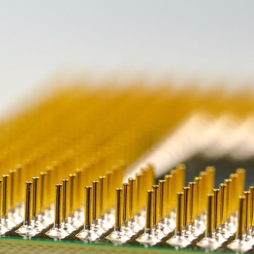 cryptocots's profile picture. not a bot, probably a bot