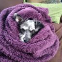 Joel Buckingham - @JoelBuckingham2 - Twitter