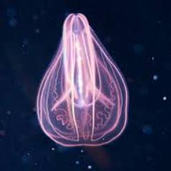 ScCloud41's profile picture. http://t.co/Wygl0Alcpa