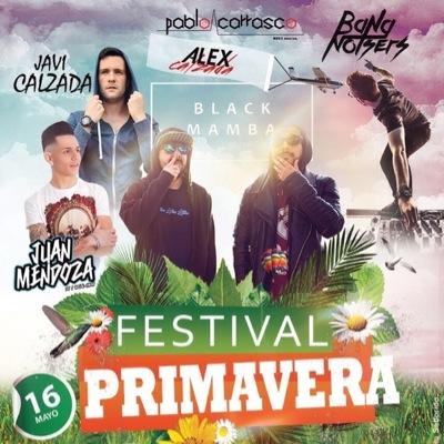 Festival Primavera 2015, antigua terraza M1 (Aqua) Moron de la frontera, Organiza 2M Events, +Info 610626482.